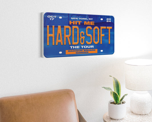 Hit Me Hard and Soft: The Tour canvas wall decor
