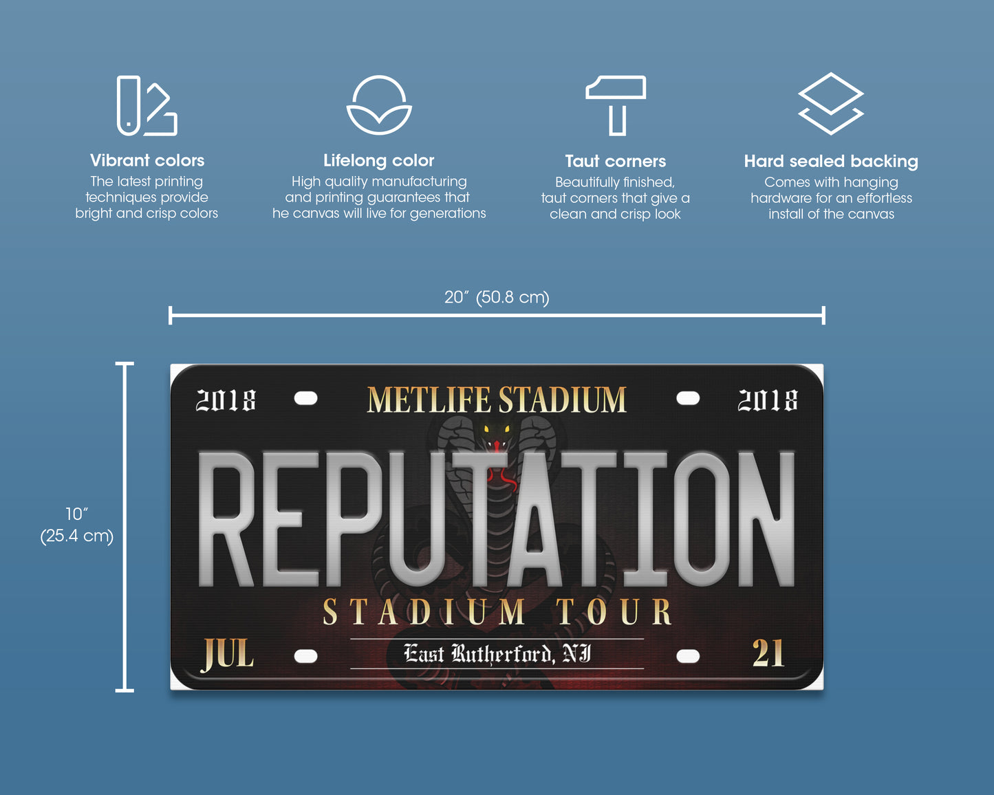 Reputation Stadium Tour canvas wall decor