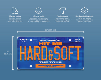 Hit Me Hard and Soft: The Tour canvas wall decor