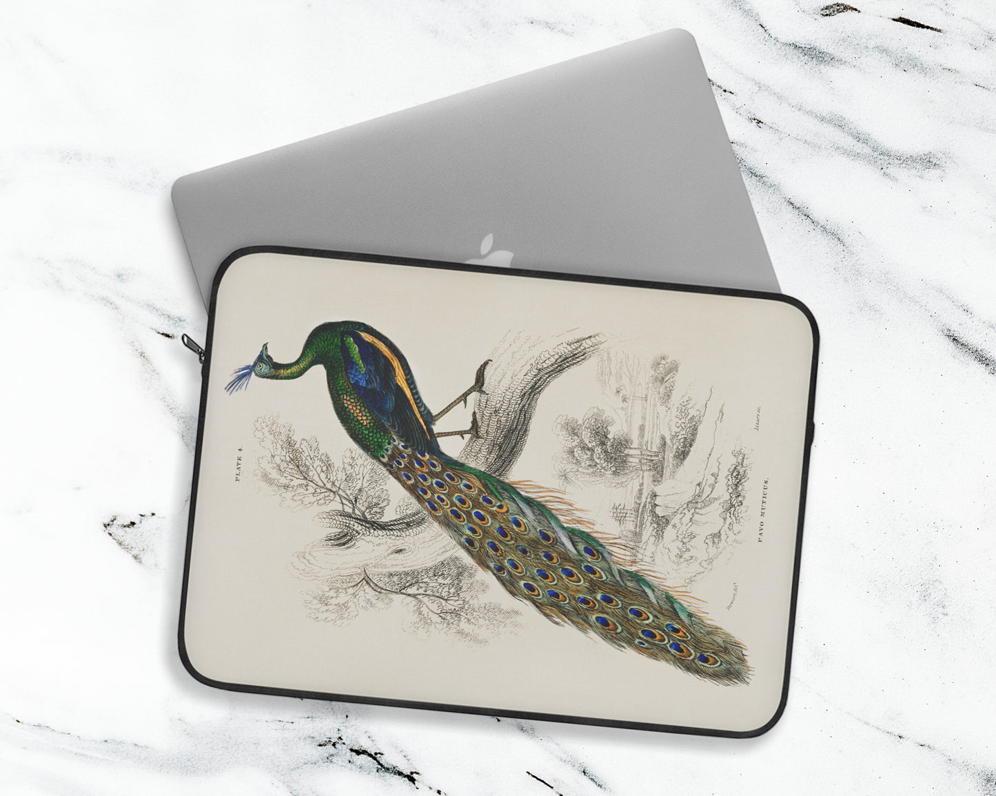 Sir William Jardine - A Majestic Male Peafowl Portrait from The Naturalist's Library laptop sleeve