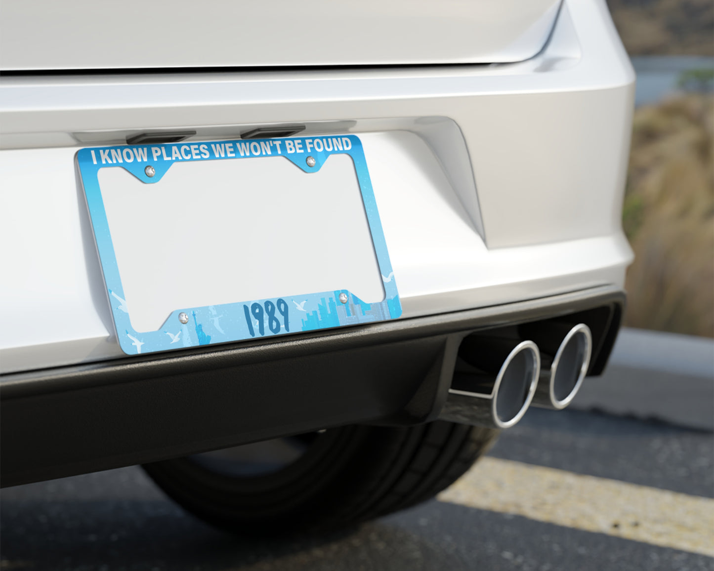 1989 era license plate frame