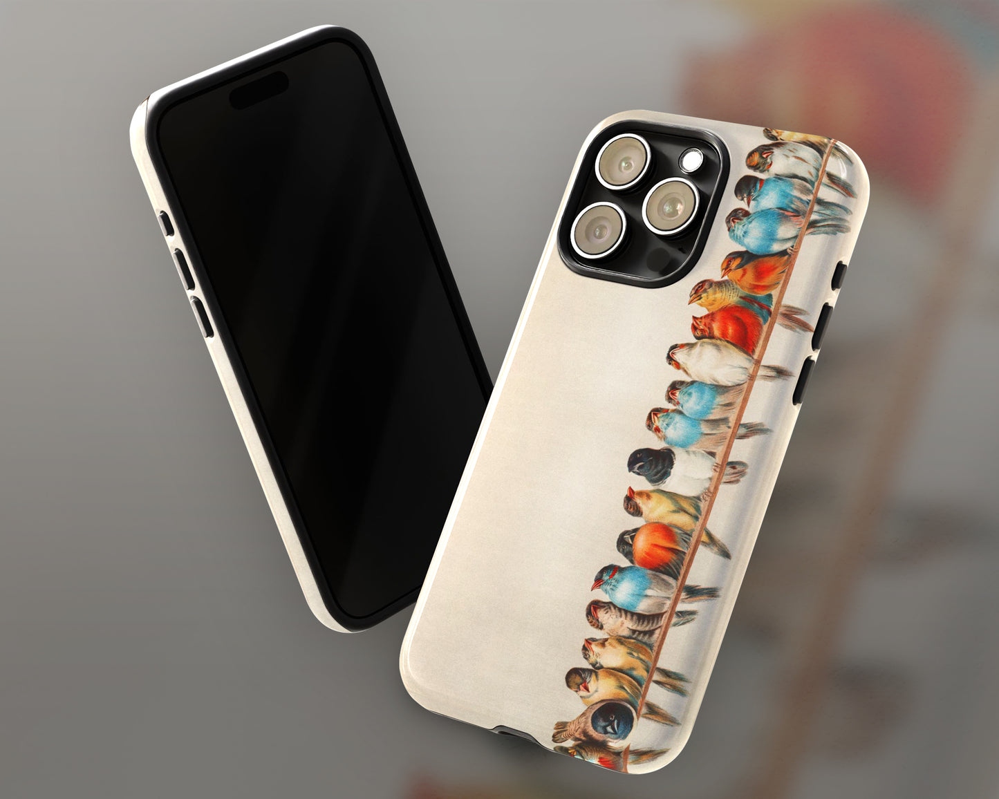 Hector Giacomelli - A Perch of Birds iPhone case