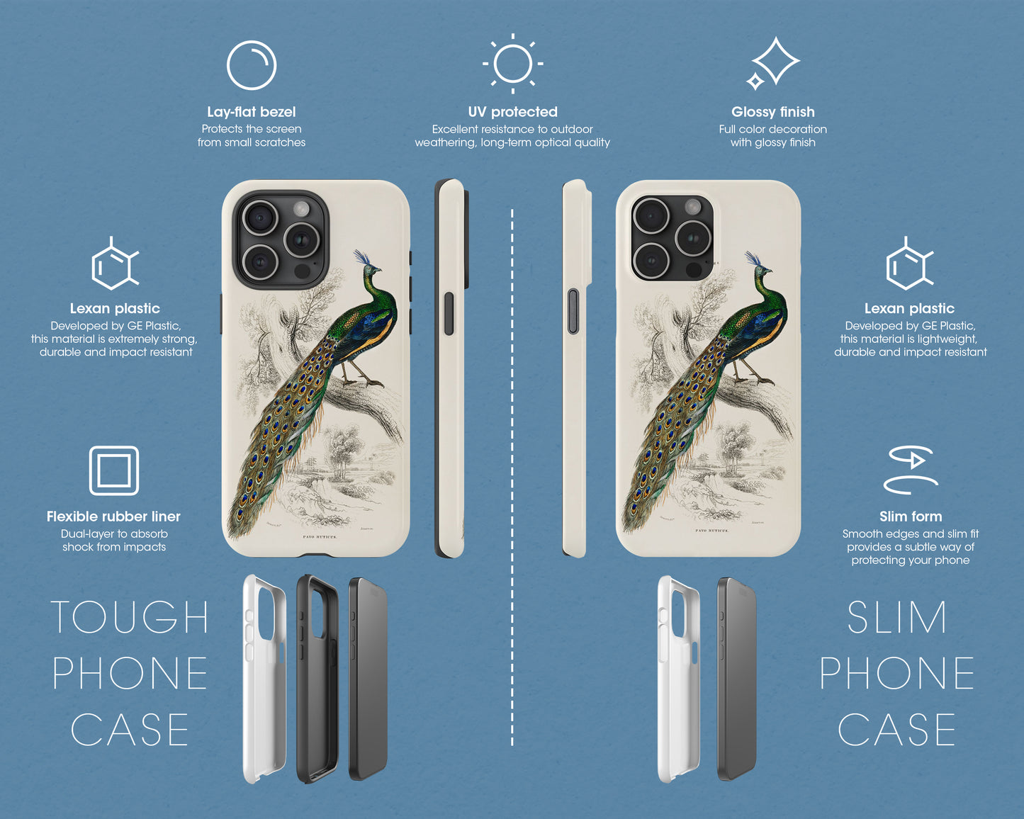 Sir William Jardine - A Majestic Male Peafowl Portrait from The Naturalist's Library iPhone case