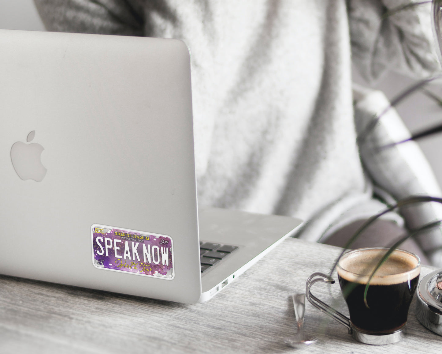 Speak Now World Tour sticker
